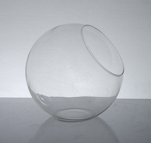 Bubble Bowl Terrarium Vase 3