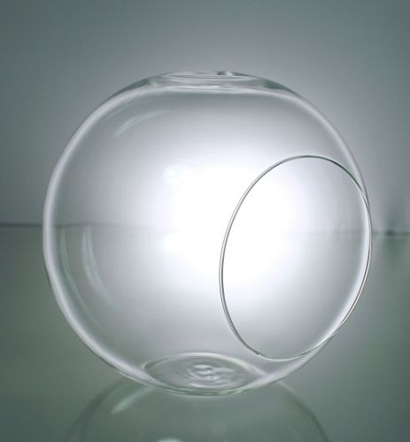 Bubble Bowl Terrarium 4.5