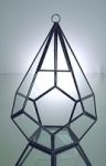 Click here to go to "Glass Terrarium Vases"