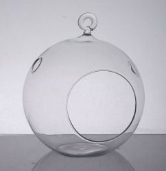 Hanging Terrarium Globe 3