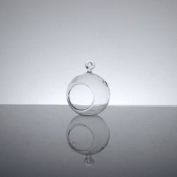 Hanging Terrarium Globe 1.5