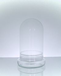 Glass Cloche 10