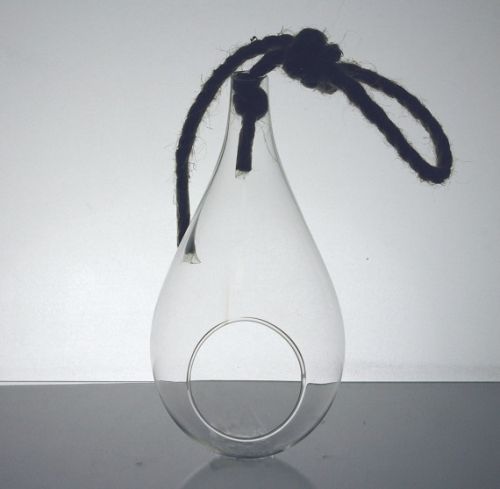 Hanging Terrarium Teardrop 2.5