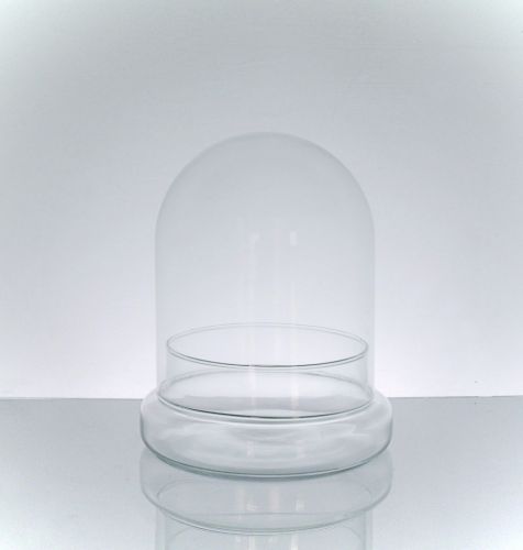 Glass Cloche 8